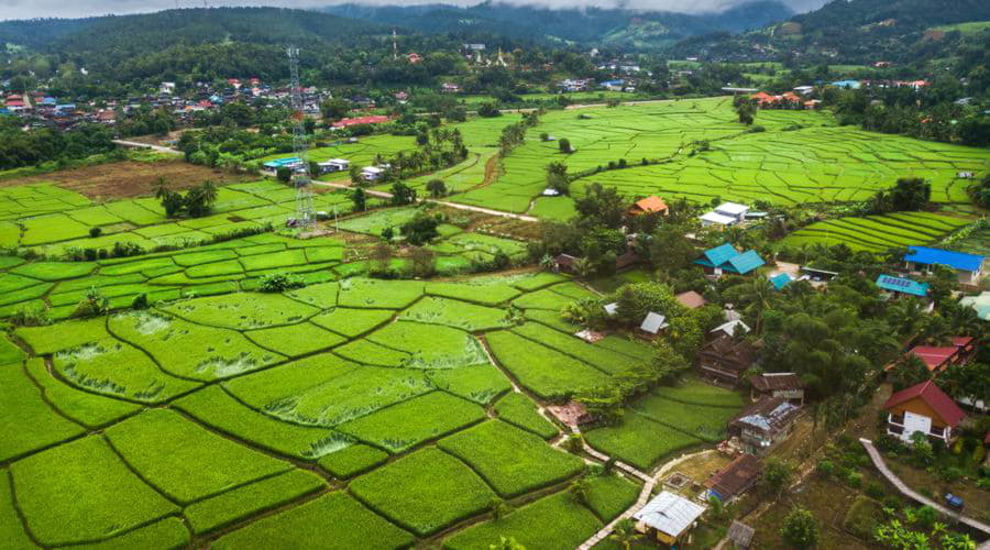 ¿Cuáles son las opciones de vehículos más populares en Mae La Noi?
